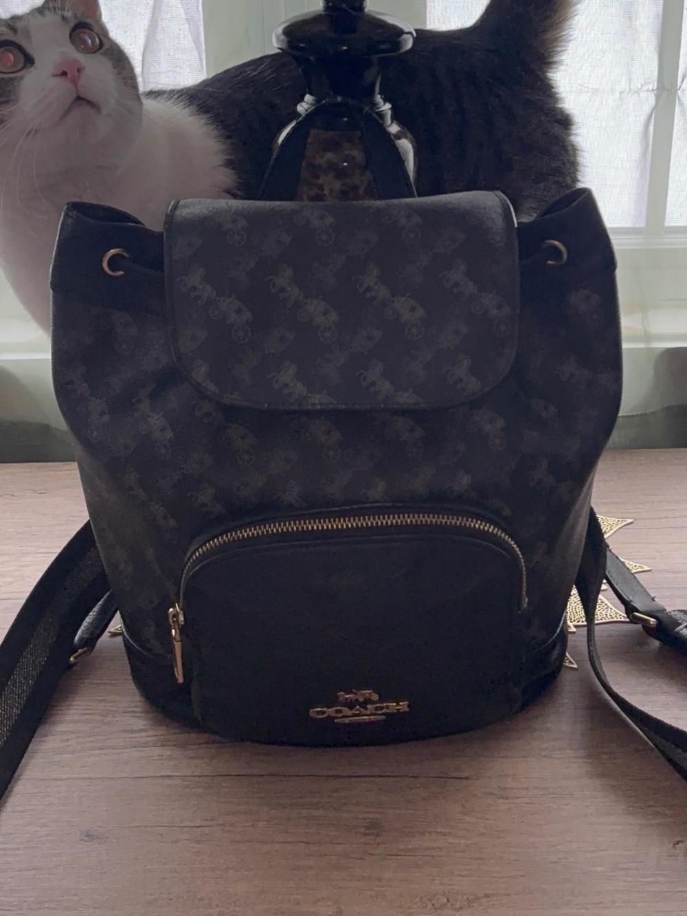 COACH JES Backpack with Horse & Carriage Print Black